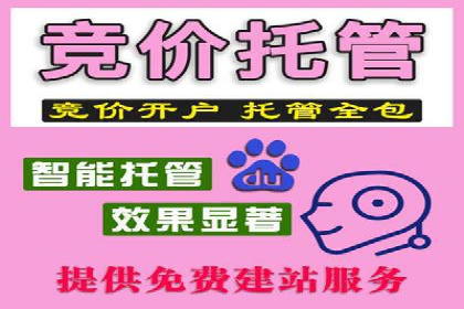 百度推广平台案例分享：助力企业品牌腾飞